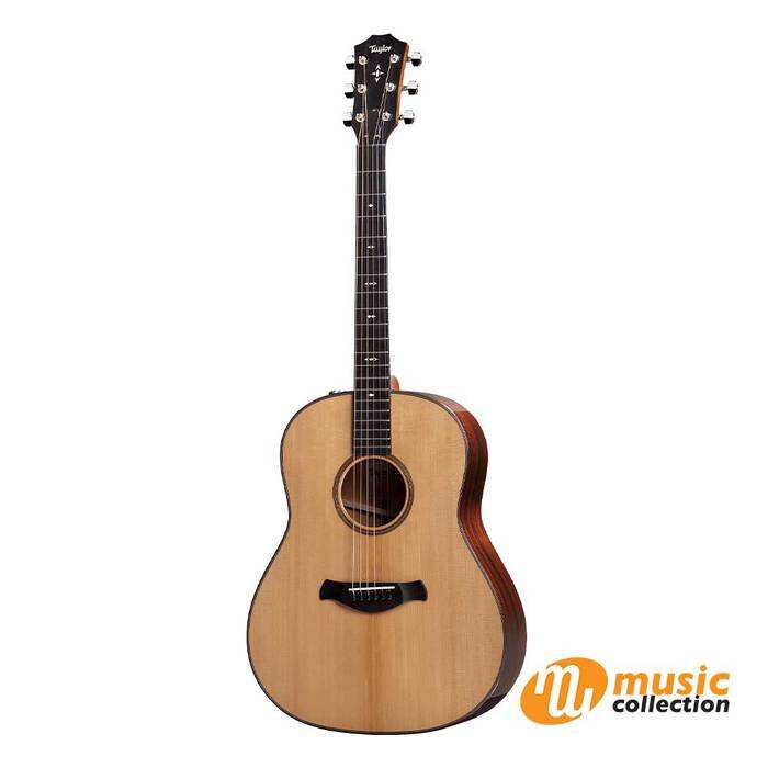 TAYLOR 517 E BUILDER'S EDITION, NAT TOP [FREE CASE]