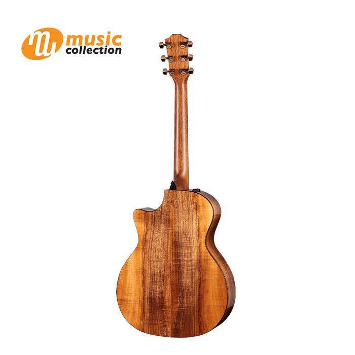 TAYLOR 724CE KOA [FREE CASE] 1