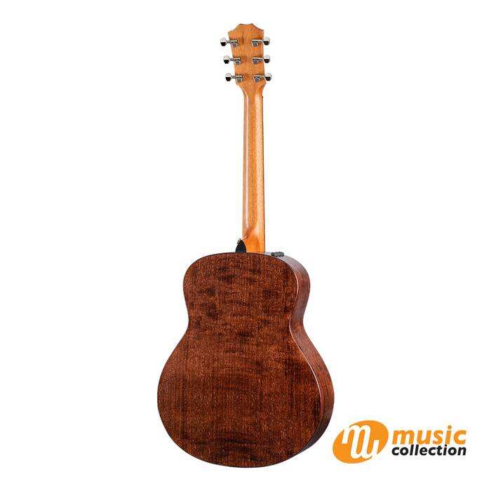TAYLOR GT-E URBAN ASH WTIH AERO CASE 1