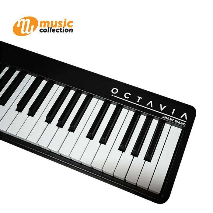 OCTAVIA BX-20 WITH LIGHT BLACK-88 KEY FOLDING ELECTRIC PIANO 1