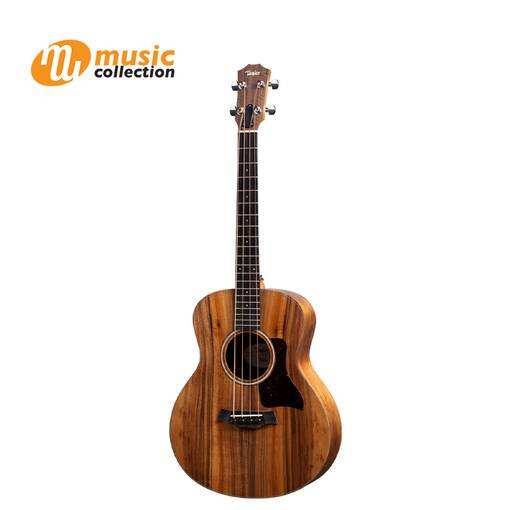 Taylor mini sales