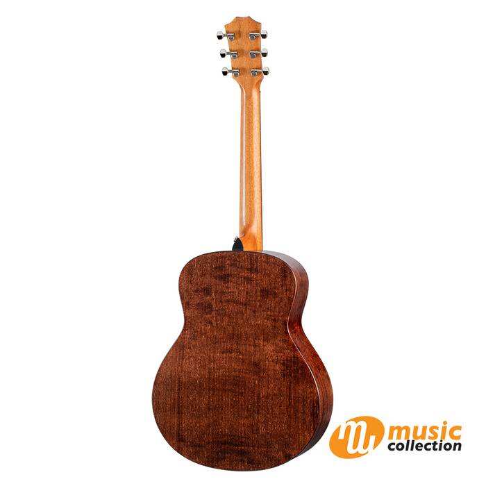 TAYLOR GT URBAN ASH [AEROCASE] 1