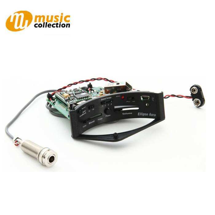Fishman mx pickup cheap
