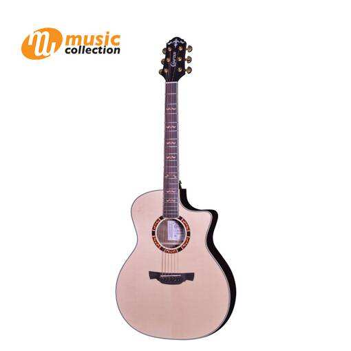 CRAFTER STG G 20 CE FREE DX BAG Music Collection