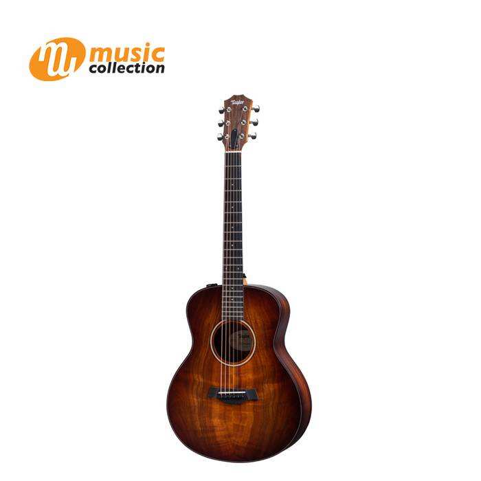 TAYLOR GS MINI-E KOA PLUS [AERO CASE]