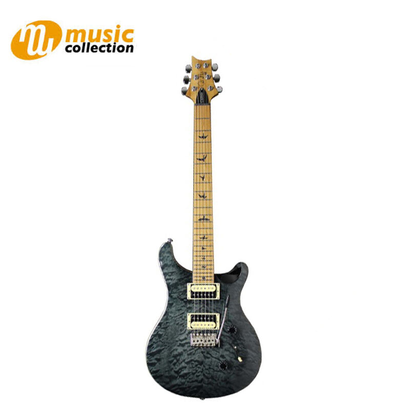 【100%新品安い】PaulReedSmith SE custom24 RSTM ポールリードスミス ギター